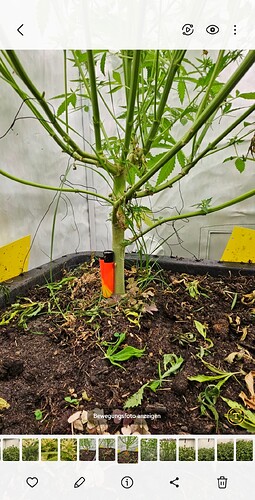 Screenshot_20240909_083843_Gallery