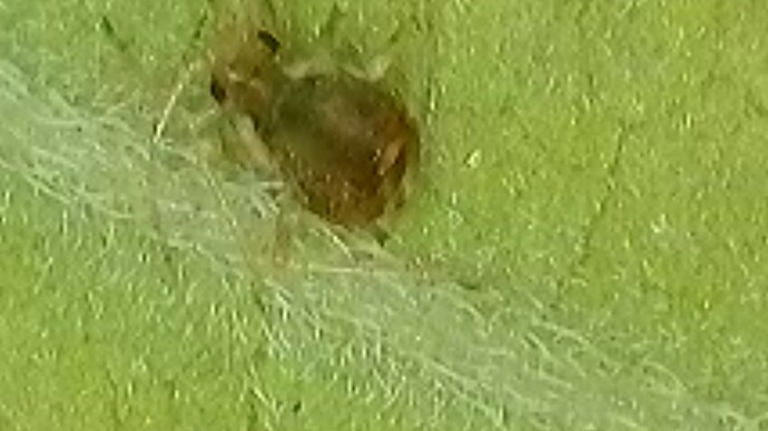 2024-09-17-161122607