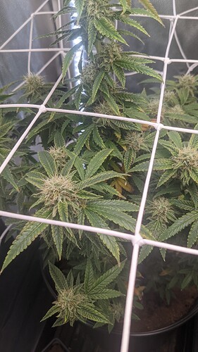 PXL_20220219_150616071