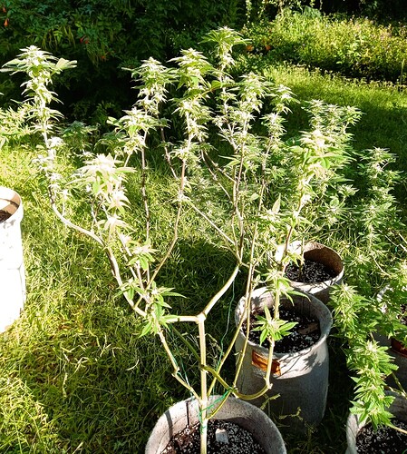 IMG-20220221-WA0008498
