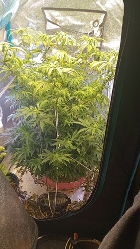 IMG_20250909_105419047