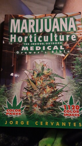 16946440892976816238635548290787