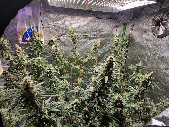 IMG_20220719_083038_02