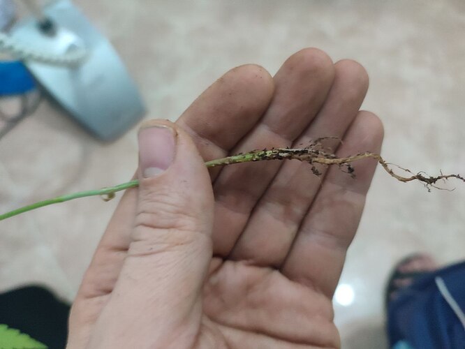 photo_2022-12-30_12-26-41