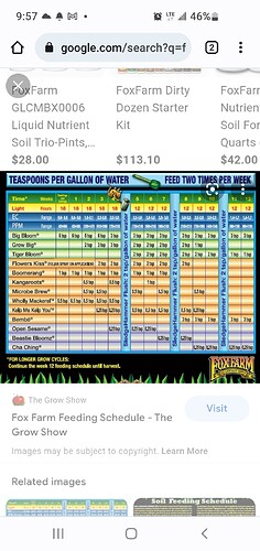 Screenshot_20220619-095752_Chrome