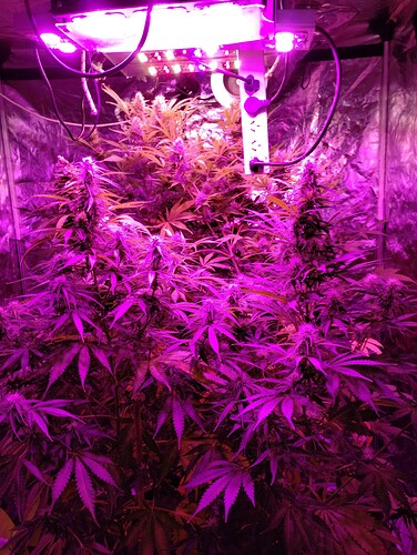 IMG_20230513_190353676