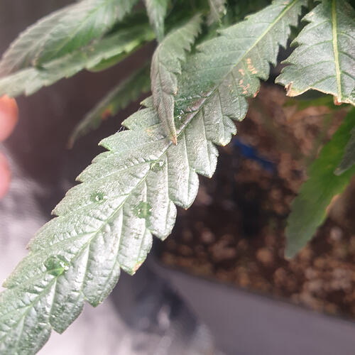 20260611_212532