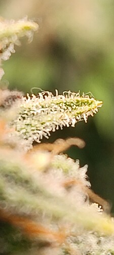 IMG_20240624_150450
