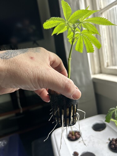 70922300700__F2FD5E51-0F1A-4BFF-A053-50DEC76950BF