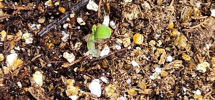 Resized_20230829_182552