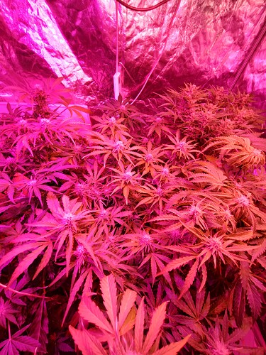 IMG_20230926_232757425_HDR