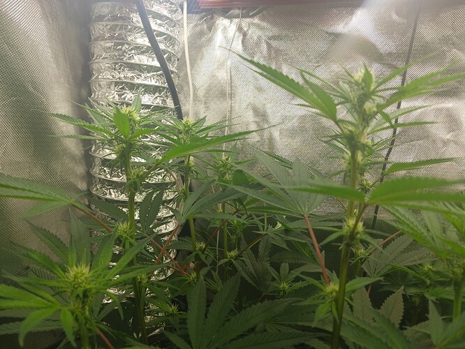 ce7e856e-1973-431b-9dbf-3e19d6f9762d