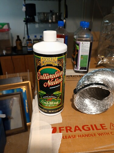 17056611979787016643747746080984