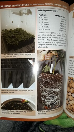 16946436902045239018566671476210