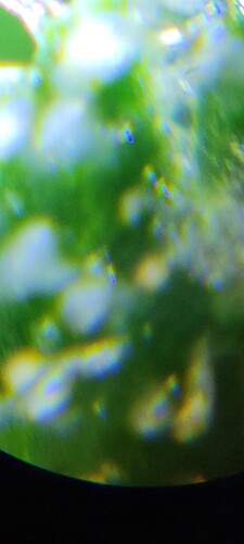 20230905_154622