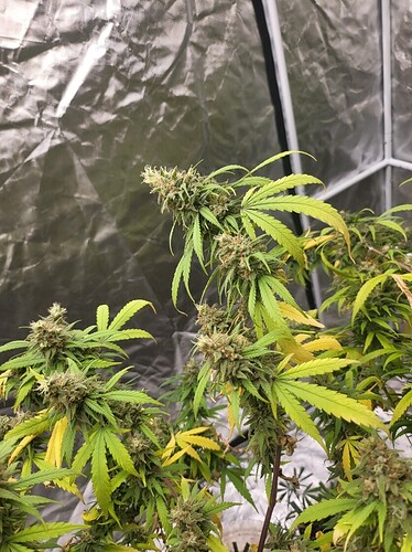 Resized_20220720_191039