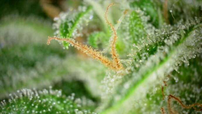 WIN_20240719_18_44_21_Pro