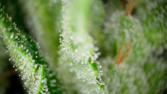 WIN_20240719_18_43_48_Pro