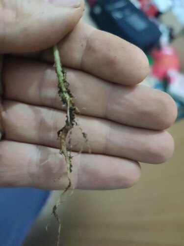 photo_2022-12-30_12-26-38