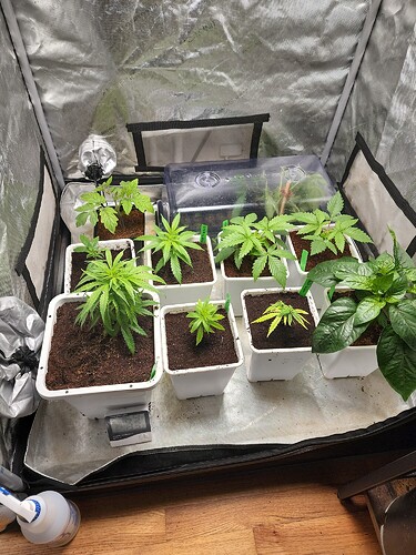 IMG_20220725_094625_01