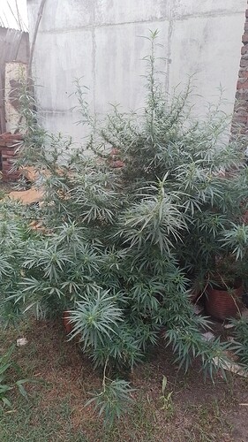 IMG-20230322-WA0097
