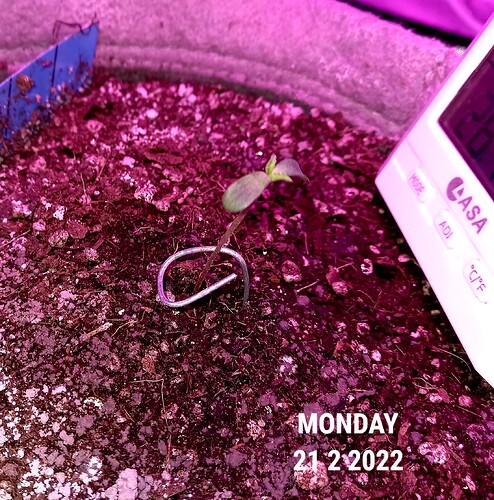20220221_164031