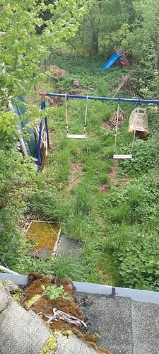 IMG_20250504_120559