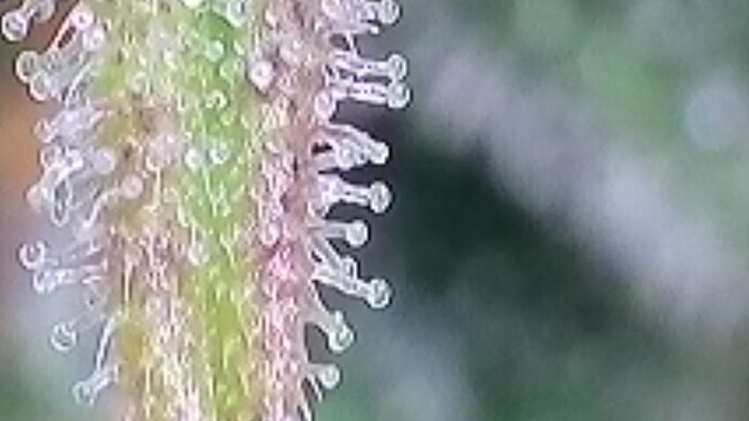 2025-06-02-190937471