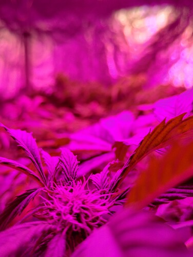 IMG_20230926_232817104_HDR