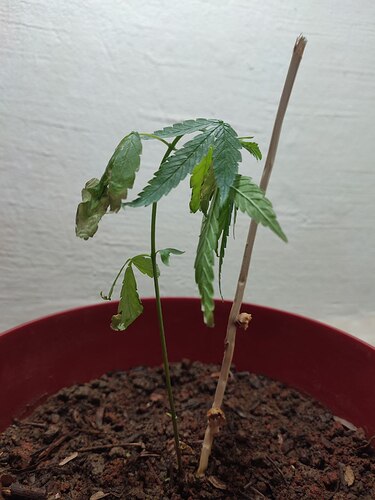 photo_2022-12-30_12-26-48