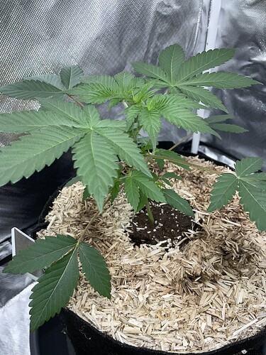 IMG_5743
