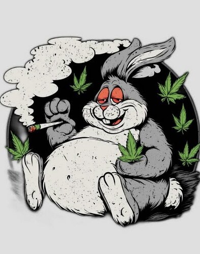 Screenshot_20260405-130630_Google