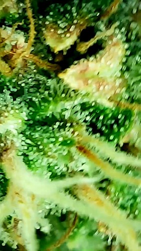 2024_05_28_17_35_40_537_exported_51680
