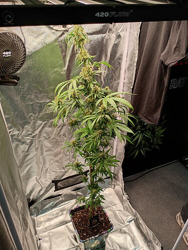 IMG_20260822_165849892_HDR