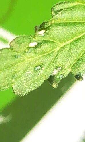 3a6a21cb-bd71-447e-b9f3-1e23661107d8