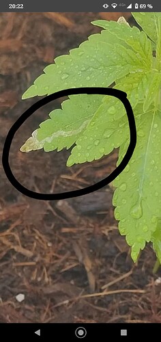 Screenshot_20230606-202230