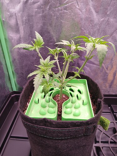 IMG_20230125_225222942