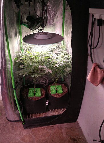 IMG_20230125_232013721