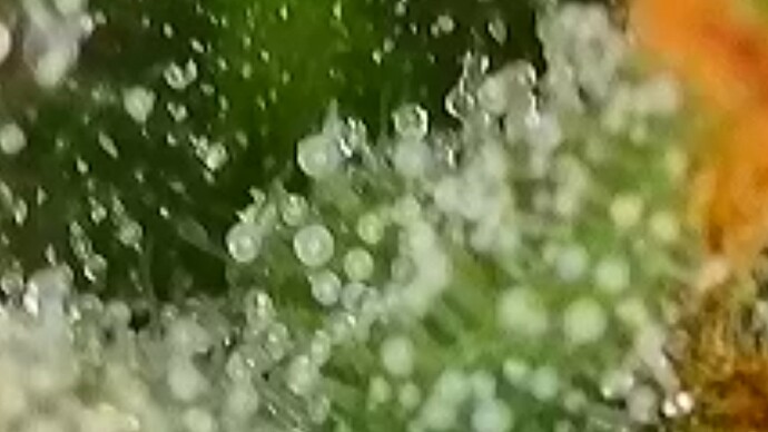 1000003674