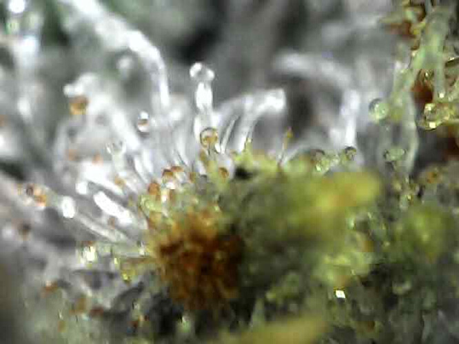 Image_2023-12-05 11_56_32_107