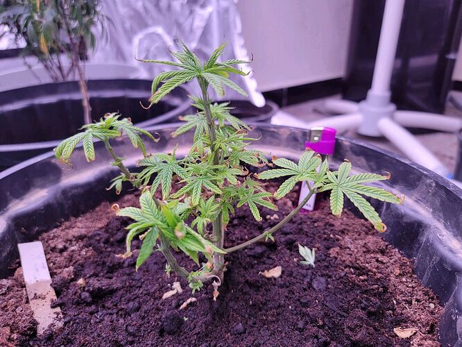 IMG_20230827_214232342