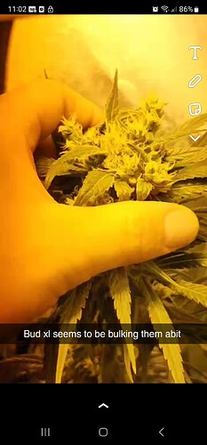 Screenshot_20230629_230222_Snapchat