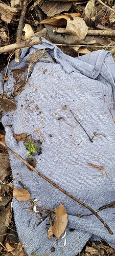 15 hab dann mal alles beiseite geräumt