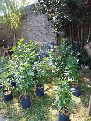 IMG_20260128_102305255