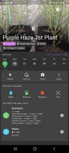 Screenshot_20220607-015736_Jane