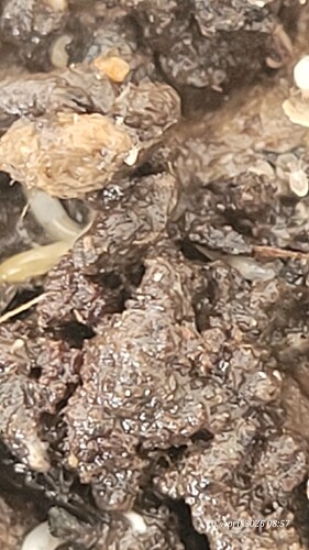 20260420_085722