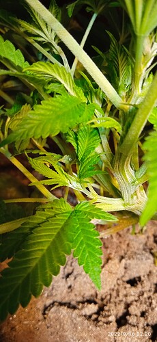 IMG_20220916_222020_1