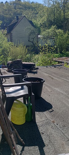 IMG_20250428_102950_HDR