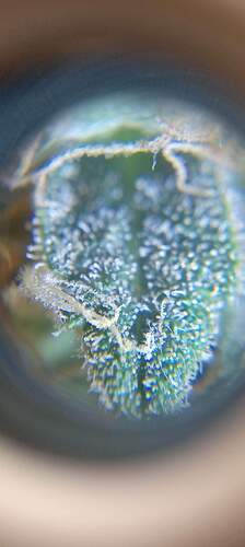 received_879072203121615