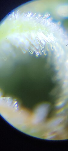 20230905_154425